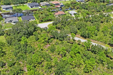 Land in Port Charlotte, Florida № 2383307 - photo 12