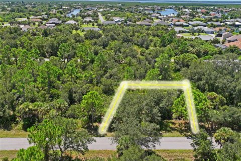 Land in Port Charlotte, Florida № 2383307 - photo 2