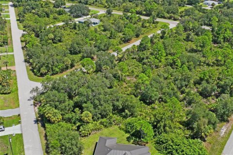 Land in Port Charlotte, Florida № 2383307 - photo 8