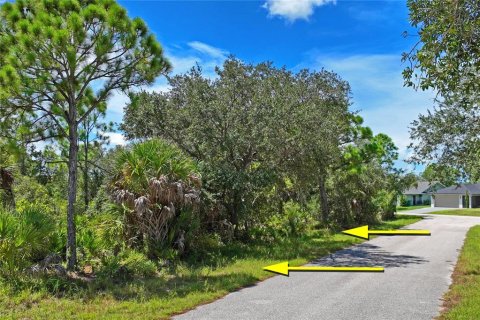 Land in Port Charlotte, Florida № 2383307 - photo 24