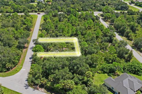 Land in Port Charlotte, Florida № 2383307 - photo 7