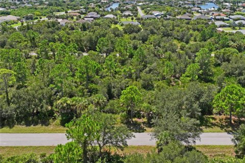 Land in Port Charlotte, Florida № 2383307 - photo 3