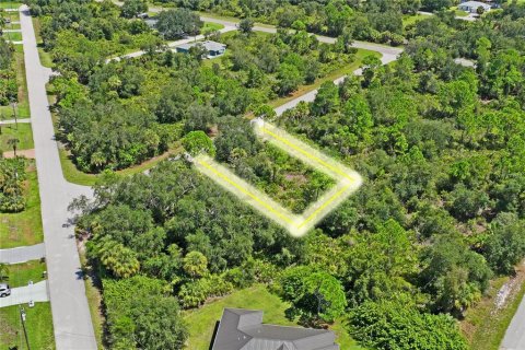 Land in Port Charlotte, Florida № 2383307 - photo 9
