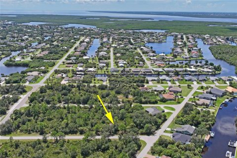 Land in Port Charlotte, Florida № 2383307 - photo 19