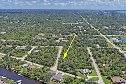 Land in Port Charlotte, Florida № 2383307