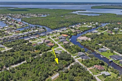 Land in Port Charlotte, Florida № 2383307 - photo 18