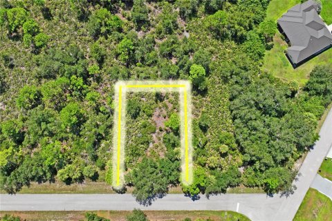 Land in Port Charlotte, Florida № 2383307 - photo 22