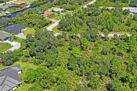 Land in Port Charlotte, Florida № 2383307 - photo 10