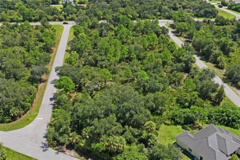 Land in Port Charlotte, Florida № 2383307 - photo 6