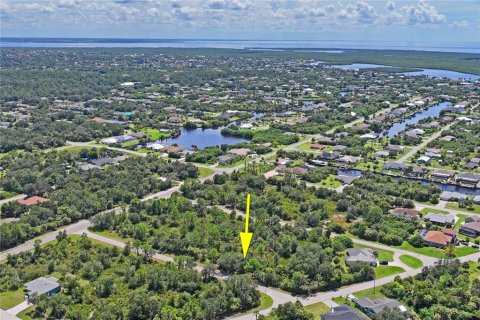 Land in Port Charlotte, Florida № 2383307 - photo 20
