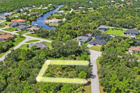 Land in Port Charlotte, Florida № 2383307 - photo 15