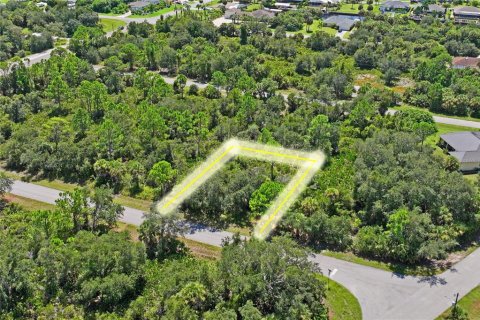 Land in Port Charlotte, Florida № 2383307 - photo 5