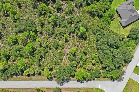 Land in Port Charlotte, Florida № 2383307 - photo 21
