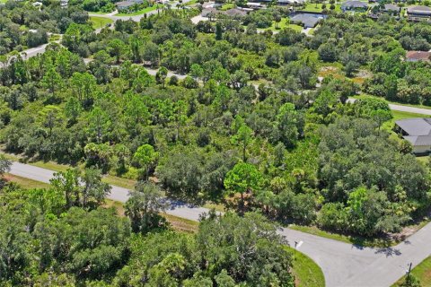 Land in Port Charlotte, Florida № 2383307 - photo 4