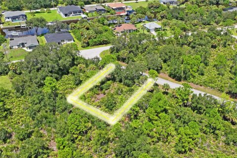 Land in Port Charlotte, Florida № 2383307 - photo 13