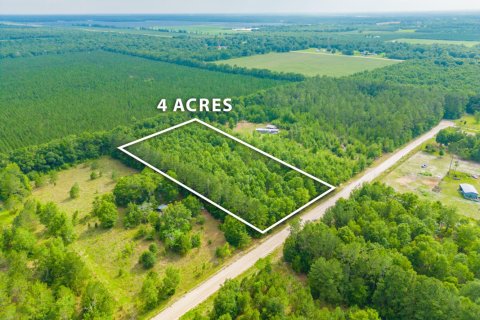 Land in Jasper, Florida № 801314 - photo 1