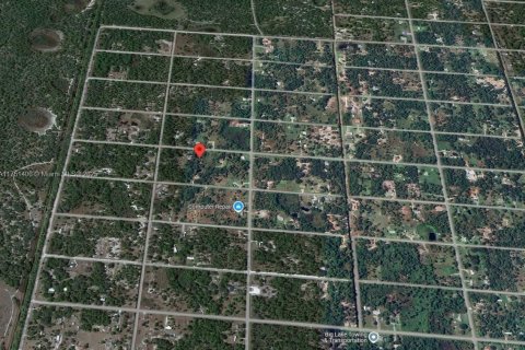 Land in Clewiston, Florida № 1729633 - photo 5