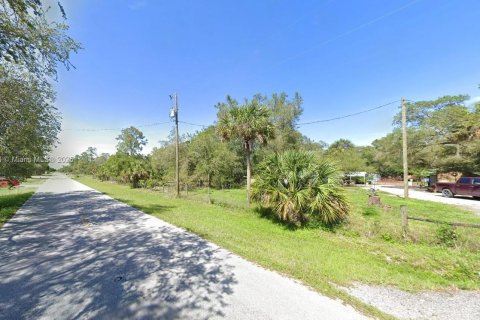 Land in Clewiston, Florida № 1729633 - photo 4