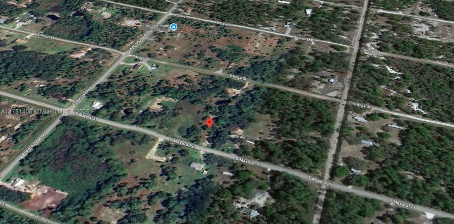 Land in Clewiston, Florida № 1729633