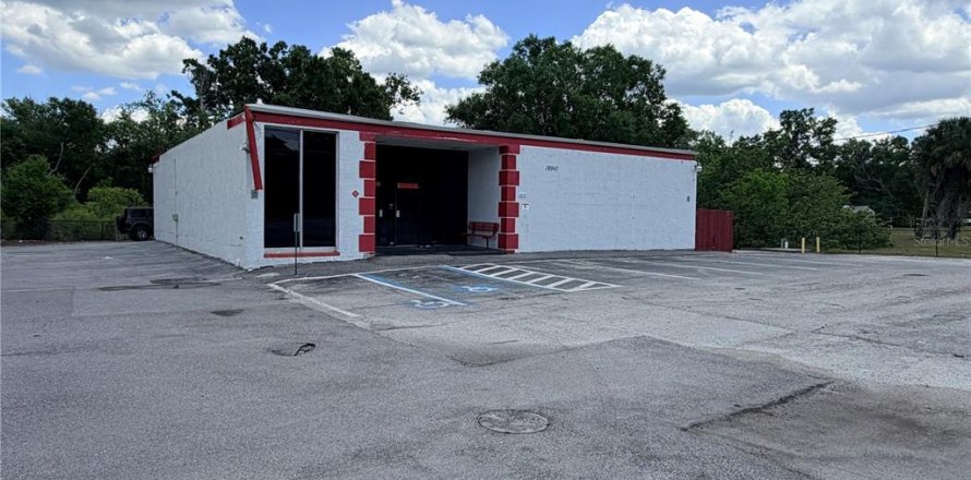 Immobilier commercial à Lutz, Floride 332.22 m2 № 2099499