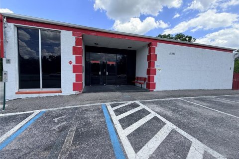 Immobilier commercial à vendre à Lutz, Floride: 332.22 m2 № 2099499 - photo 3