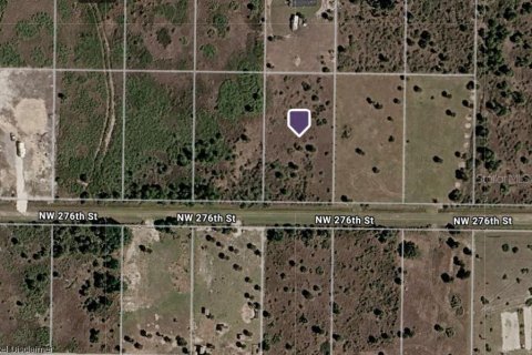 Land in Okeechobee, Florida № 2275599 - photo 2