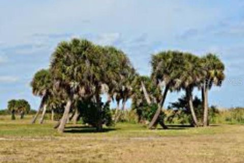 Land in Okeechobee, Florida № 2275599