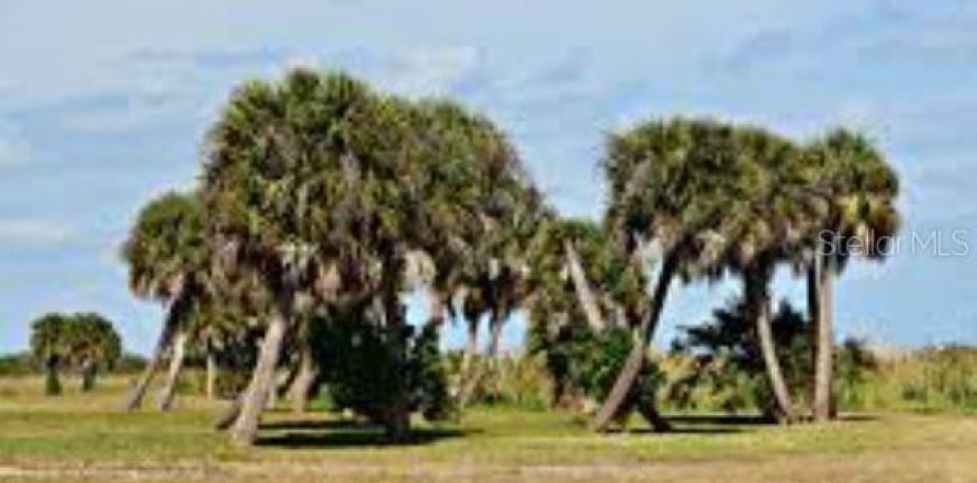 Land in Okeechobee, Florida № 2275599