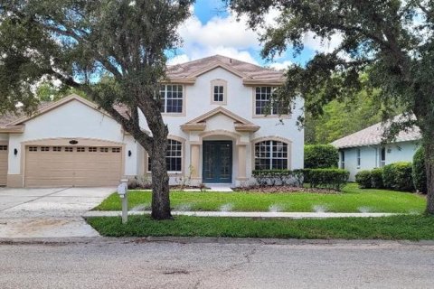 Villa ou maison à vendre à Lutz, Floride: 4 chambres, 259.2 m2 № 1916635 - photo 1