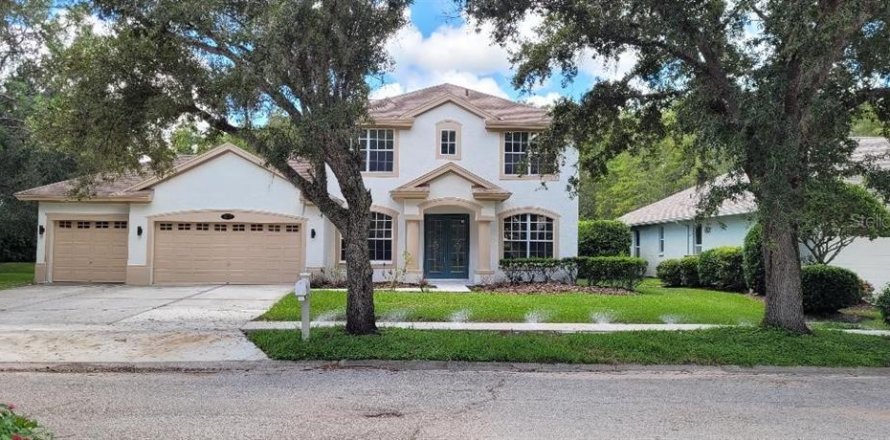 Villa ou maison à Lutz, Floride 4 chambres, 259.2 m2 № 1916635