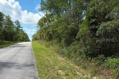 Terreno en venta en Dunnellon, Florida № 2218443 - foto 3