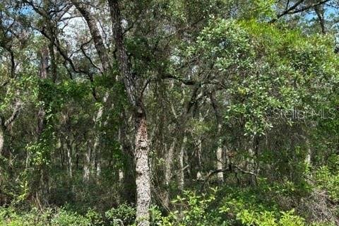 Terreno en venta en Dunnellon, Florida № 2218443 - foto 2