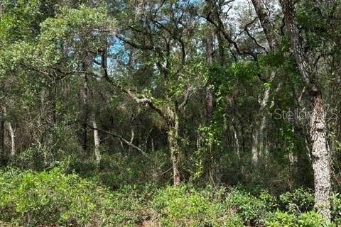 Terreno en Dunnellon, Florida № 2218443