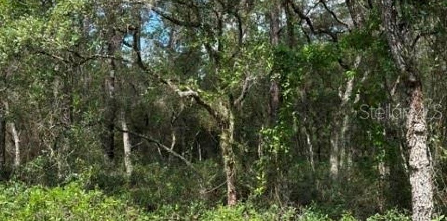 Terreno en Dunnellon, Florida № 2218443