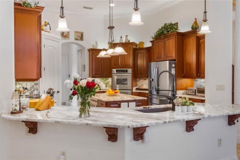 Casa en venta en Howey-in-the-Hills, Florida, 3 dormitorios, 309.09 m2 № 2427011 - foto 12