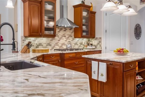 Casa en venta en Howey-in-the-Hills, Florida, 3 dormitorios, 309.09 m2 № 2427011 - foto 13