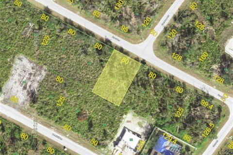 Land in Port Charlotte, Florida № 2159619
