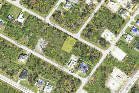 Land in Port Charlotte, Florida № 2159619 - photo 2