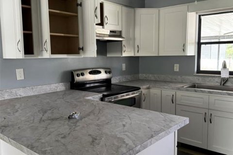 Villa ou maison à vendre à Zephyrhills, Floride: 3 chambres, 145.86 m2 № 2304701 - photo 3