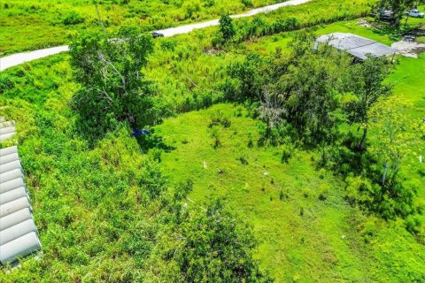 Land in Bradenton, Florida № 1900429 - photo 10