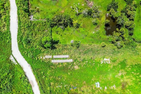 Land in Bradenton, Florida № 1900429 - photo 16