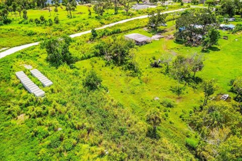 Land in Bradenton, Florida № 1900429 - photo 12