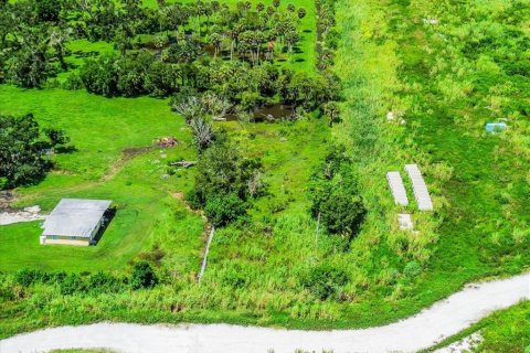 Land in Bradenton, Florida № 1900429 - photo 7
