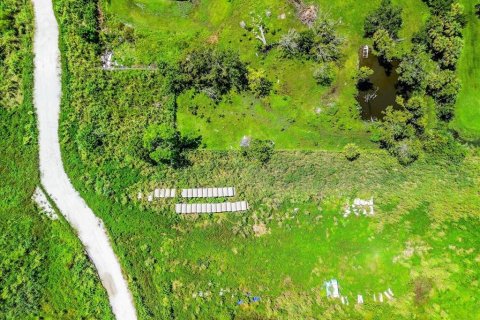 Land in Bradenton, Florida № 1900429 - photo 17