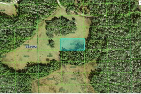 Terrain à Polk City, Floride № 2235100