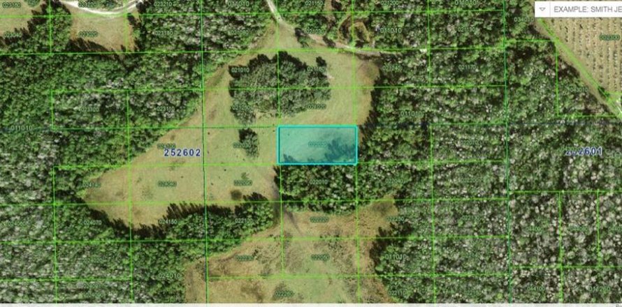 Terrain à Polk City, Floride № 2235100