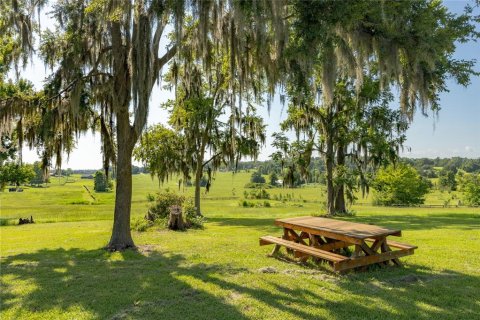 Villa ou maison à vendre à Alachua, Floride: 3 chambres, 229.28 m2 № 2120799 - photo 6