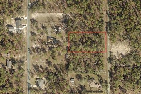 Terreno en venta en Dunnellon, Florida № 1881019 - foto 1