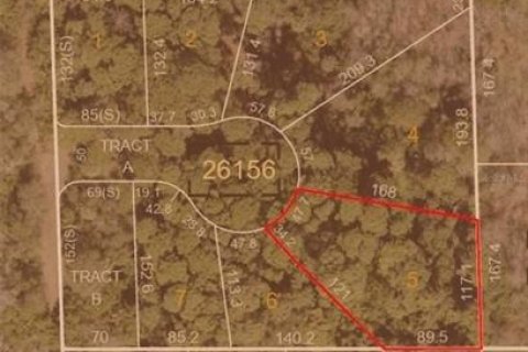 Land in Palm Harbor, Florida № 2384451