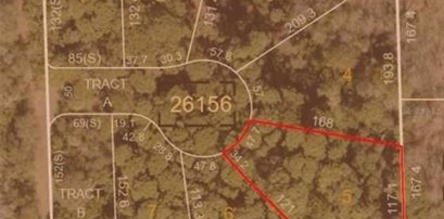 Land in Palm Harbor, Florida № 2384451